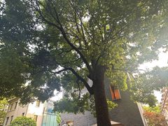 -徐家汇源景区-衡山坊