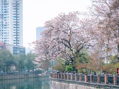 -红星桥(地铁站)