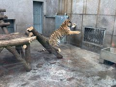 -西安秦岭野生动物园