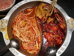 -大龙燚火锅(春熙店)