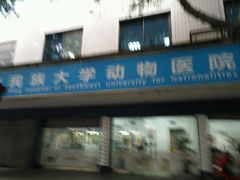 -成都民大动物医院