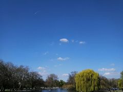 景点-海德公园