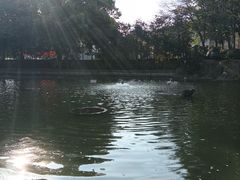 -赭山公园