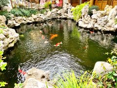 -鲤院·新中式美学·庭院餐厅(夫子庙店)