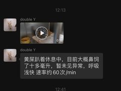 -泰洋动物医院·神经专科·磁共振·CT(天河公园总院)