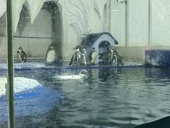 -太平洋海底世界