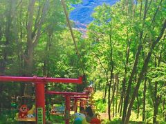 -帽儿山风景区