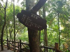 -海南槟榔谷黎苗文化旅游区