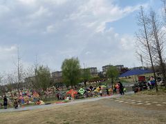 -两河城市森林公园