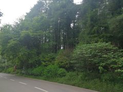 -贵州森林野生动物园