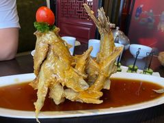 -老牌坊鲁菜名店(聊城美食岛店)