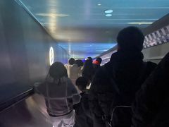 -白鹤梁水下博物馆