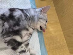 -美迦爱-牙专科·兔科·骨科诊疗中心(北苑店)