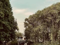 -乌镇东栅景区