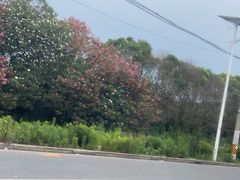 -安飞驰驾校·学车连锁(金高店)