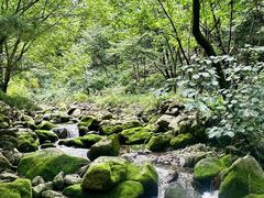 -青峰峡国家森林公园