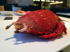 -万达文华酒店·48F云端窗景美食汇自助餐厅