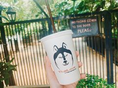 -TrueLove @ Neverland (Husky Cafe)