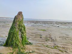-在海一方公园