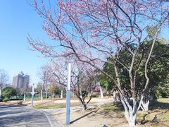 -海合安武汉极地海洋公园