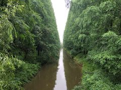 -东平国家森林公园
