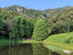 -厦门国家会计学院
