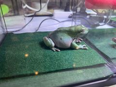 -三旗百汇商品城