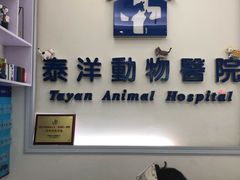-泰洋动物医院·神经专科·磁共振·CT(天河公园总院)