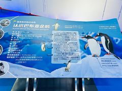 -蓬莱欧乐堡海洋极地世界