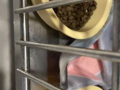 -守诺宠物医院·眼科· 特色牙科·异宠专科(虹口店)