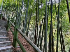 -藏龙百瀑风景区