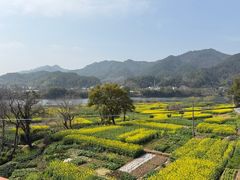 -新安江山水画廊风景区