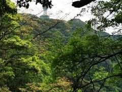 -梧桐山风景名胜区