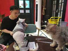 -猫色咖啡·猫咖