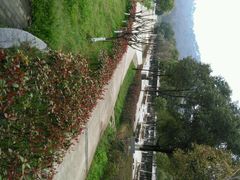 android_upload_pic-我家农庄