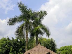 -嘉和K6温泉微度假