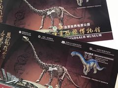 -自贡恐龙博物馆