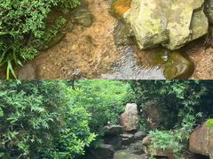 -桃花岭景区