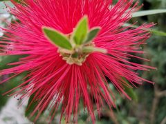 -北京植物园-展览温室