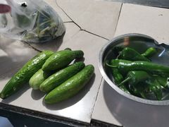 -庆岭迎宾园正宗活鱼馆