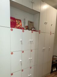 -香薇妮丝·定制减肥·身材管理