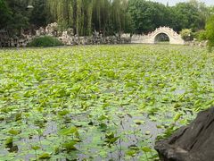 -莲池书院博物馆