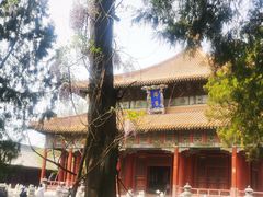 -北京国子监胡同