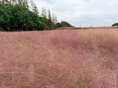 -嘉北郊野公园