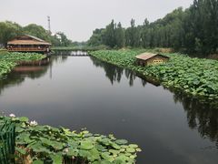 -白洋淀景区