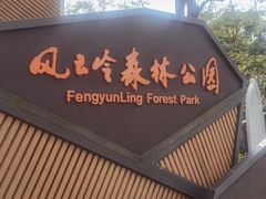 -风云岭森林公园