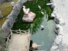 -汉中石门栈道景区