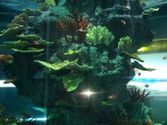 -福州罗源湾海洋世界旅游区