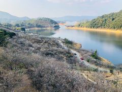 -广州市流溪河国家森林公园