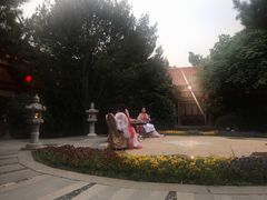 -大唐博相府酒店·陕西官府菜